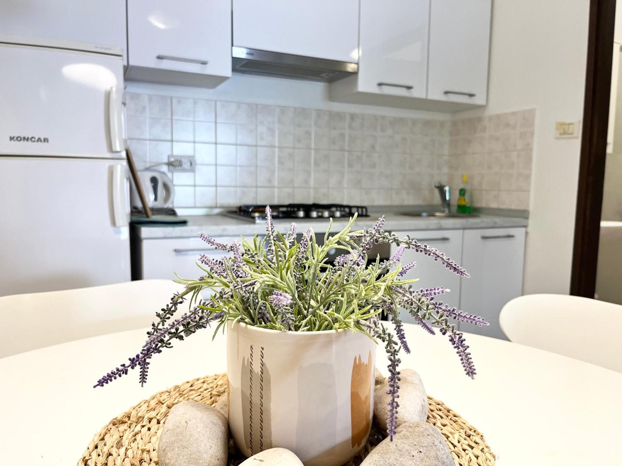 Appartement Biba Pula